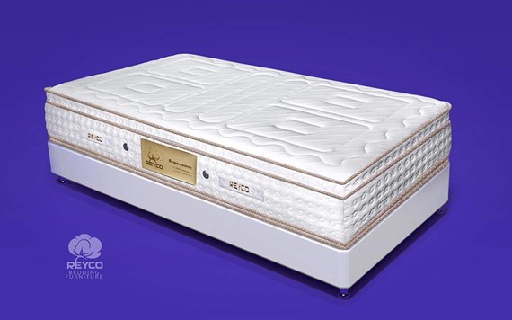 Ergonomic spring mattress تشک طبی فنری ارگونومیک ریکو
