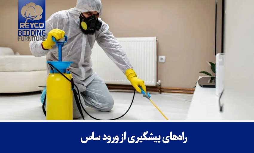 نکات حرفهای در مبارزه با ساس