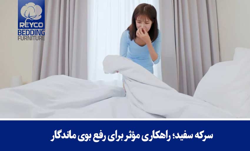 سرکه سفید؛ راهکاری مؤثر برای رفع بوی ماندگار
