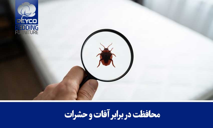 محافظت در برابر آفات و حشرات