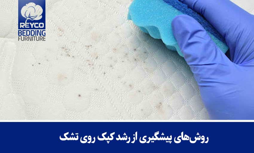 روشهای پیشگیری از رشد کپک روی تشک