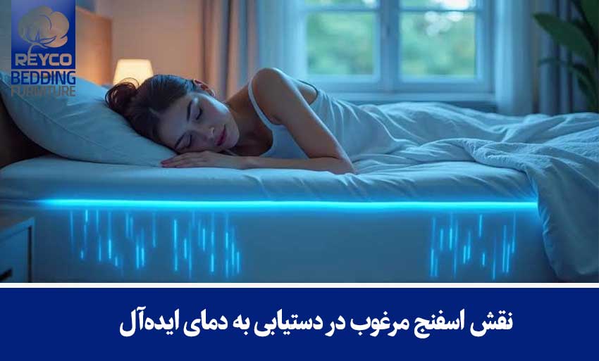 نقش اسفنج مرغوب در دستیابی به دمای ایدهآل